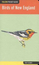Birds of New England (A Falcon Pocket Guide)